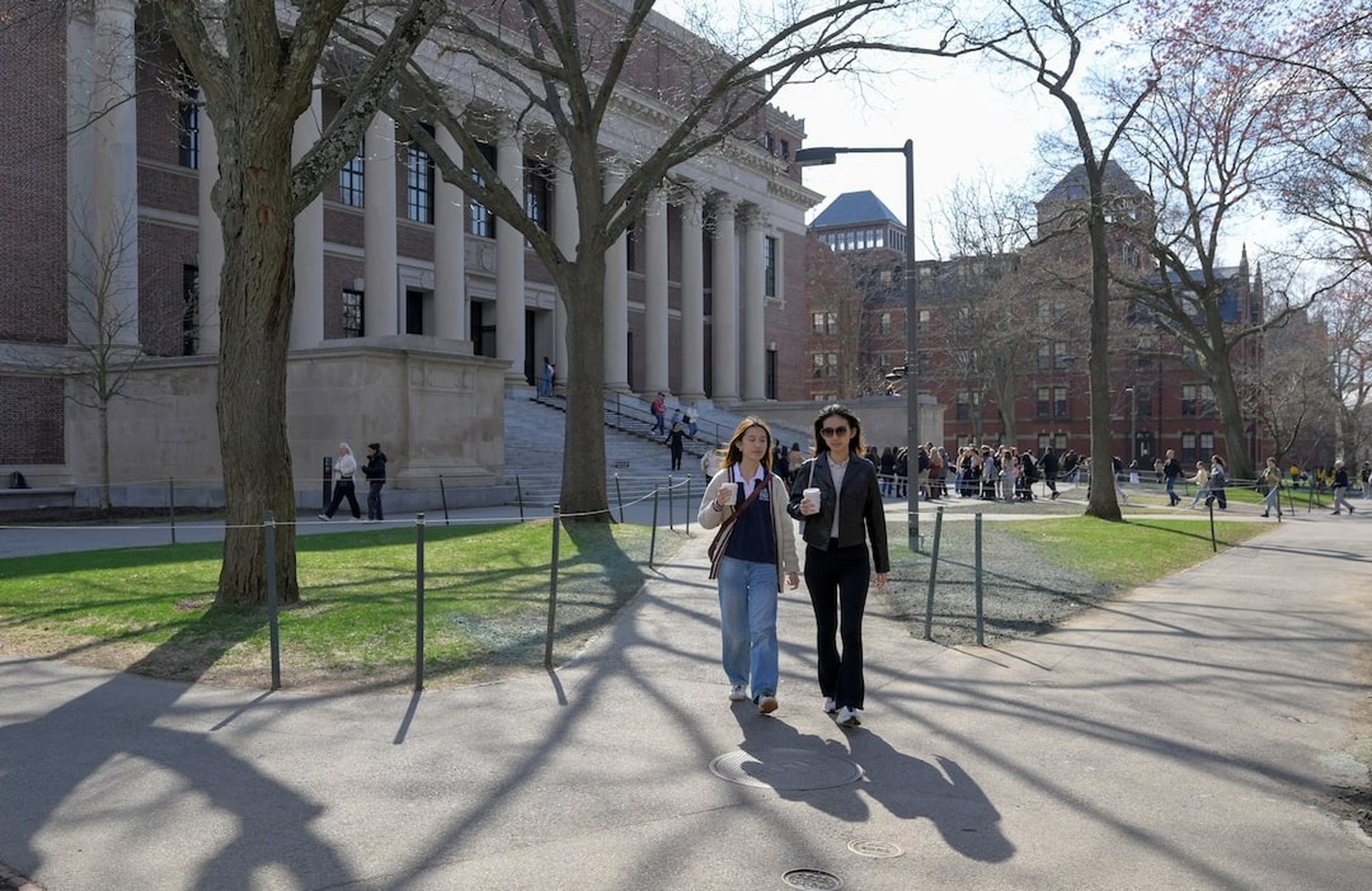 Động thái của Trung Quốc khi Harvard bị cấm tuyển sinh viên quốc tế - 2 Động thái của Trung Quốc khi Harvard bị cấm tuyển sinh viên quốc tế - 2