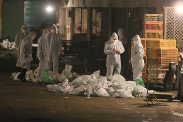 Trung Quốc: nạn nhân thứ 6 tử vong, nhiều chợ gia cầm bị đóng cửa