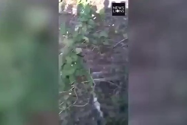 Cụ ông 60 tuổi đánh báo