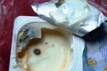 Đau bụng vì ăn phải váng sữa Monte mốc xanh   