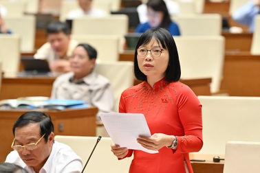 Đại biểu Quốc hội lo bỏ sót thẩm phán giỏi nếu giới hạn độ tuổi bổ nhiệm