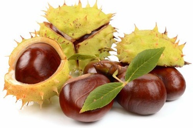 BoniVein – Bí quyết giảm nỗi lo bệnh trĩ “ hành hạ”