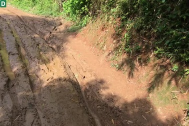 Xót xa phòng học tranh tre và những lớp học “hai trong một”