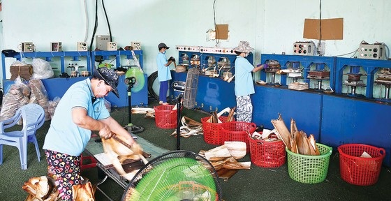 Mo cau cả làng vứt vạ vật, nay thành hàng sang xuất Mỹ, Canada - 6 Mo cau cả làng vứt vạ vật, nay thành hàng sang xuất Mỹ, Canada - 6