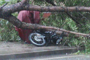 Những hình ảnh đầu tiên của cơn bão số 10