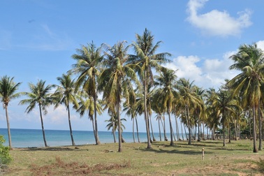Chiêm ngưỡng những bãi biển hoang sơ hiếm hoi tại Phú Quốc