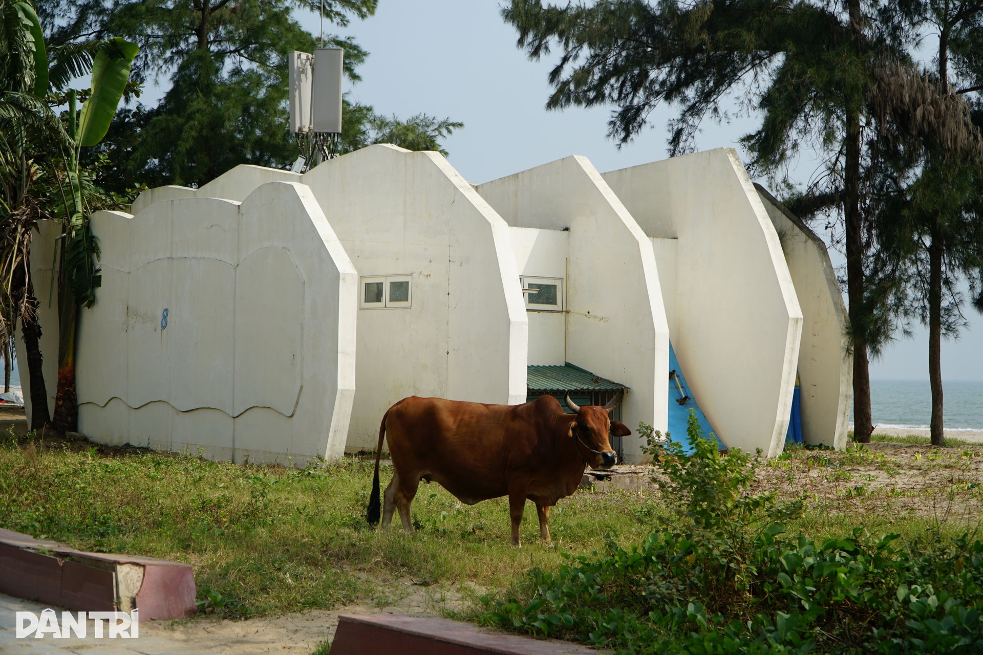 Loạt công trình FLC chuyển giao cho Sầm Sơn tơi tả, hoang tàn trên bãi biển - 13