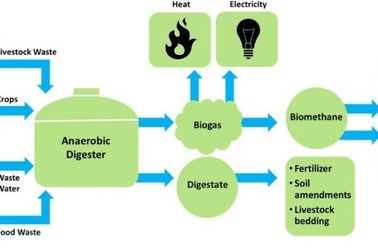 Nhiêu liệu sinh học low-carbon: Nhiều thân thiện môi trường
