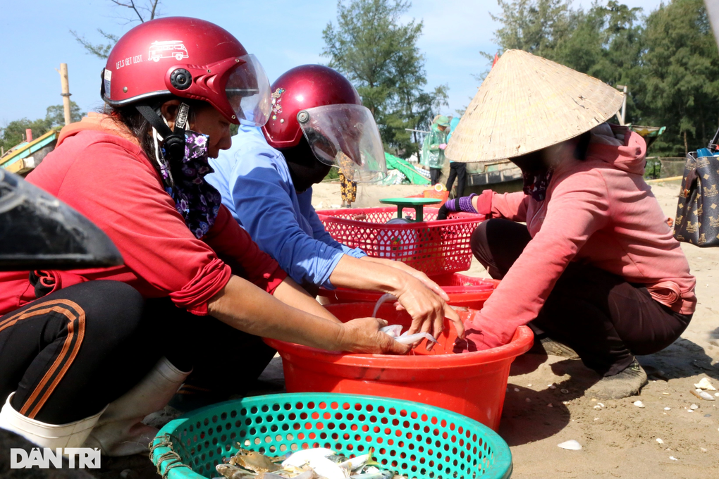 Loài cá từng bỏ đi nay thành đặc sản, thương lái tranh nhau mua - 2 Loài cá từng bỏ đi nay thành đặc sản, thương lái tranh nhau mua - 2