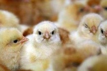 Công việc lương 1,8 tỷ đồng/năm nhưng nhiều người không làm