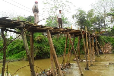 20 năm chênh vênh cầu tre mục nát