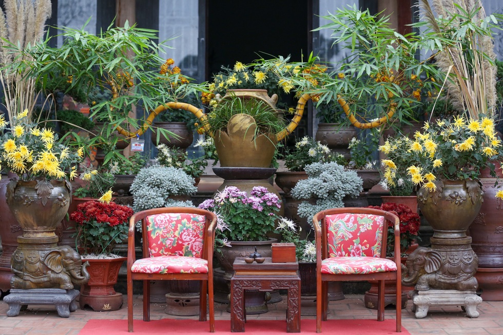 Gặp chủ nhân chậu tre bonsai đặt trong tiệc trà Tổng Bí thư