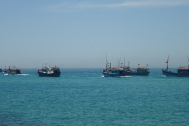 Cục Kiểm ngư lên tiếng về lệnh cấm đánh bắt cá của Trung Quốc