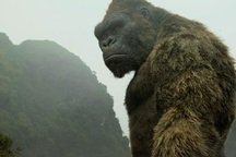 Bộ Văn hoá lý giải ý tưởng dựng mô hình khỉ Kong ở hồ Hoàn Kiếm