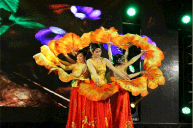 Năm Văn hóa Việt Nam tại Séc: Những thành công bước đầu