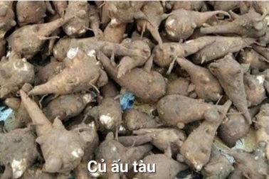 Độc tố bất ngờ trong bát cháo khiến người phụ nữ phải vào viện cấp cứu