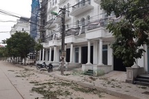 Giao công an điều tra vụ chặt trộm cây xanh trong đêm ở Hà Nội