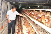 Chàng kỹ sư xây dựng bỏ phố về quê chăn nuôi kiếm tiền tỷ