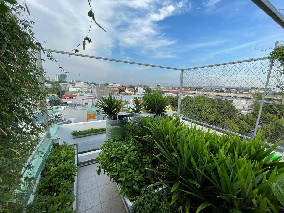 Ông bố đảm tự nuôi cá, trồng rau trĩu trịt trên sân thượng ở Sài Gòn - 7 Ông bố đảm tự nuôi cá, trồng rau trĩu trịt trên sân thượng ở Sài Gòn - 7