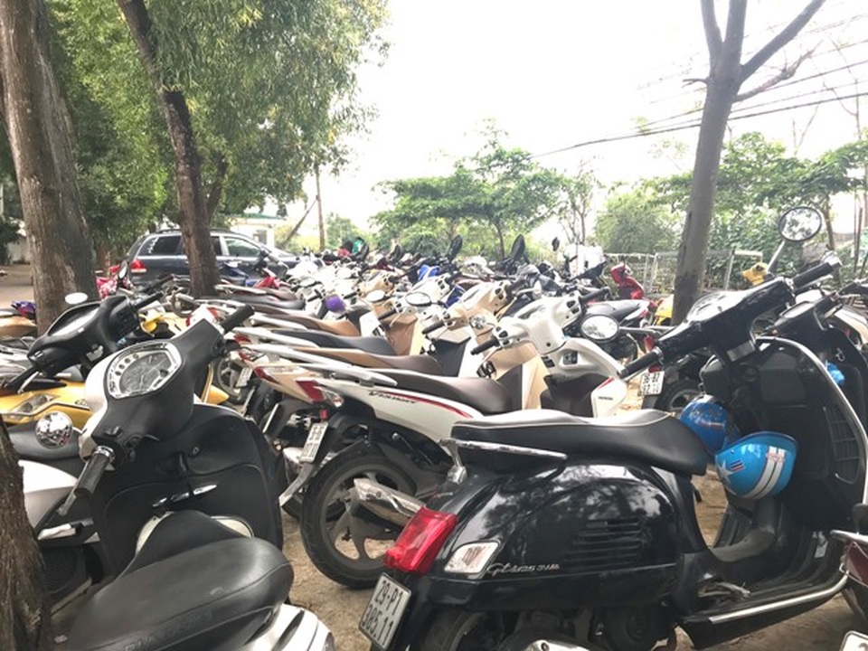 Mua đất từ thủ đô về Thanh Hóa trồng cúc họa mi, kiếm bộn tiền - 5 Mua đất từ thủ đô về Thanh Hóa trồng cúc họa mi, kiếm bộn tiền - 5