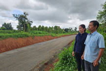 Lấy một khúc gỗ muồng hơn 1m3, người đàn ông bị truy tố