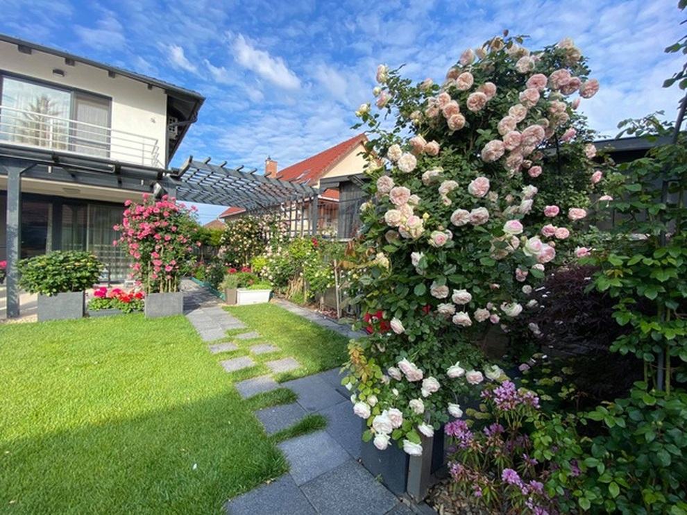 Những khu vườn sum suê rau, trái của các ông bố Việt ở trời Tây - 10 Những khu vườn sum suê rau, trái của các ông bố Việt ở trời Tây - 10