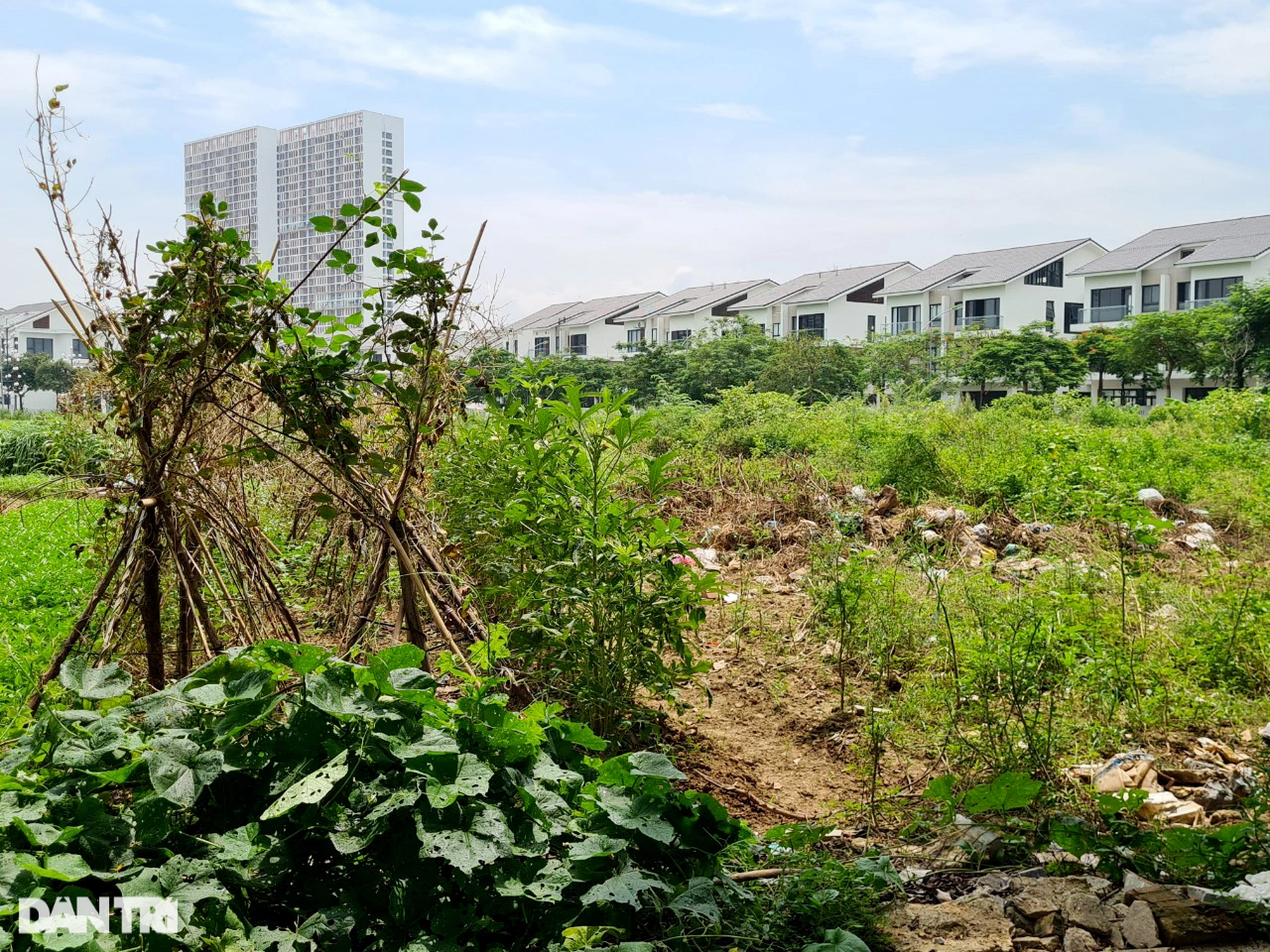 Biệt thự, liền kề vắng người ở sau sốt nóng, tăng giá chục tỷ đồng - 7 Biệt thự, liền kề vắng người ở sau sốt nóng, tăng giá chục tỷ đồng - 7