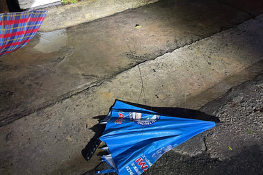 Cây đổ đứt đường dây, điện giật chết ba người một gia đình ở Bình Dương