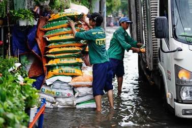 TPHCM: Mưa nhỏ cũng ngập bõm cả tuyến phố