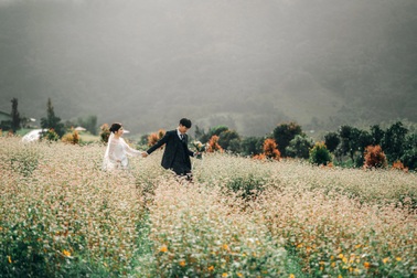 Ngắm vườn hoa được giới trẻ săn lùng tại Đà Lạt