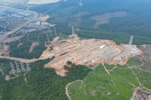 Một doanh nghiệp bị phạt 325 triệu đồng vì phá 2,61ha rừng ở Thanh Hóa