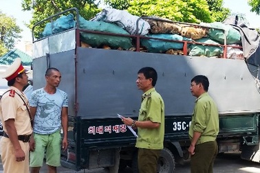 Phát hiện xe tải chở 3,6 tấn xương động vật hôi thối