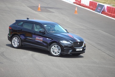 Trải nghiệm nghệ thuật của hiệu suất cùng Jaguar Driving Experience