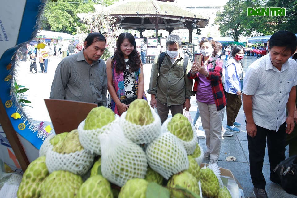 Đặc sản na khổng lồ Sơn La hút khách ở Hà Nội - 10 Đặc sản na khổng lồ Sơn La hút khách ở Hà Nội - 10