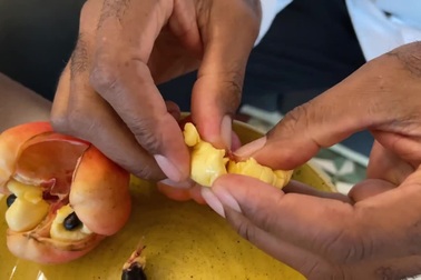 Món "quốc thực" làm từ quả độc gây chết người và cách giải độc gây bất ngờ