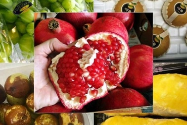 Hà thành sính đồ ngoại: Từ táo dại thâm xỉn đến nho lạ đắt vô địch