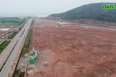 Dự án nhà máy nhiệt điện 21 nghìn tỷ đồng thành nơi chăn thả bò