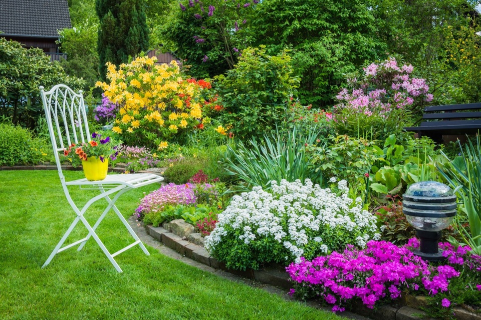 Vườn trong nhà phố - mảnh ghép cho một tổ ấm trọn vẹn - 1 Vườn trong nhà phố - mảnh ghép cho một tổ ấm trọn vẹn - 1
