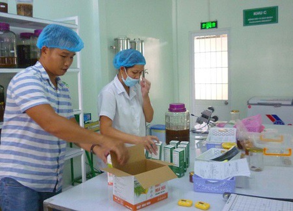 Trồng dừa chưa kịp ra trái đã hái được khối tiền ở Trà Vinh - 6 Trồng dừa chưa kịp ra trái đã hái được khối tiền ở Trà Vinh - 6