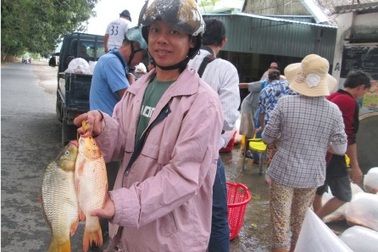 Đến chợ mua cá... rẻ như rau