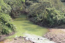 Hàng nghìn hộ dân khiếp đảm vì hồ chứa 13 triệu m3 nước bị ô nhiễm