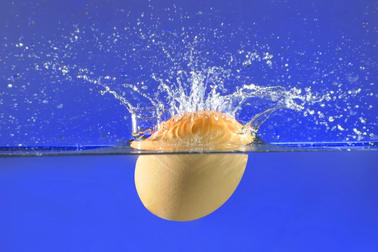 Điều gì xảy ra khi đập vỡ quả trứng dưới nước?