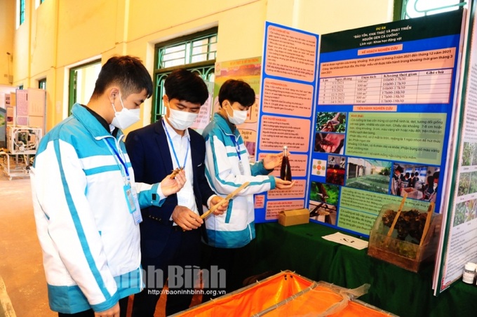 Sản phẩm dự thi Trường THPT Nho Quan C. Ảnh baoninhbinh.org.vn