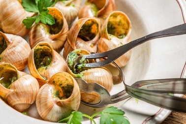 Loại ốc cạn “nhan nhản” khắp vườn, nơi cho không ai lấy, chỗ lại đắt hơn vàng