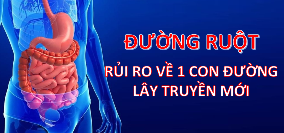 Virus corona mới tàn phá các bộ phận trên cơ thể như thế nào? - 4 Virus corona mới tàn phá các bộ phận trên cơ thể như thế nào? - 4
