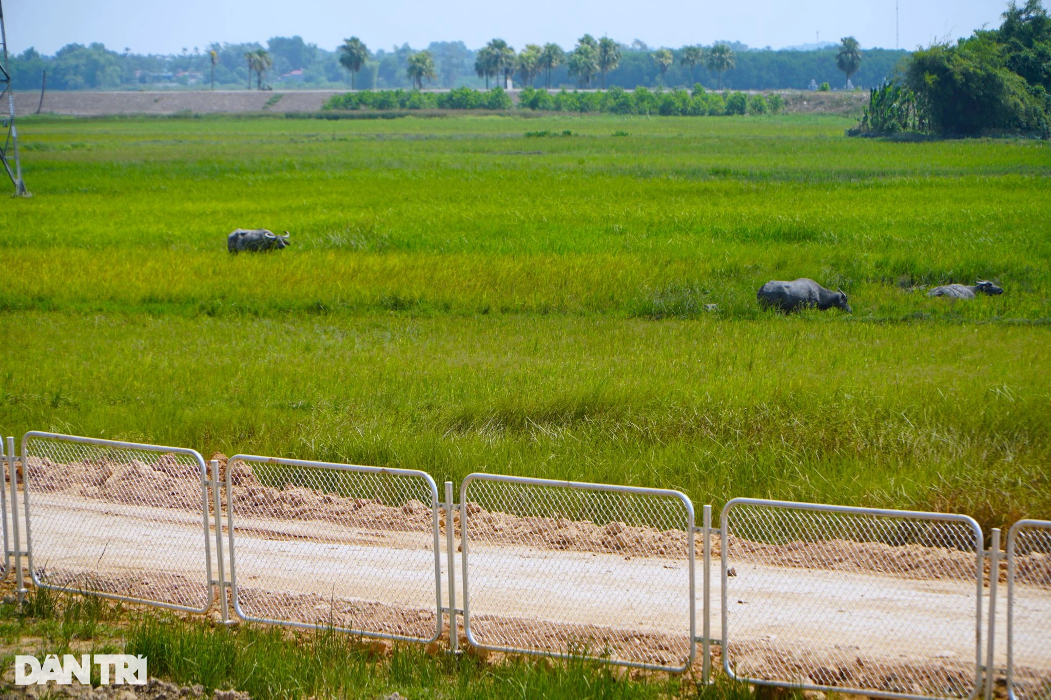 Diện mạo cao tốc Quốc lộ 45 - Nghi Sơn trước ngày thông xe - 8