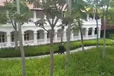 Lãnh đạo Mỹ - Triều cùng nhau đi dạo sau bữa trưa