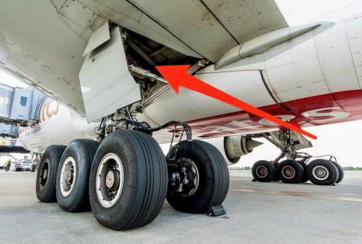 Cậu bé từng đu càng máy bay sống sót kỳ diệu gây chấn động, giờ ra sao? - 3 Cậu bé từng đu càng máy bay sống sót kỳ diệu gây chấn động, giờ ra sao? - 3