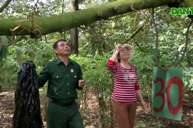 Nhiều mô hình thoát nghèo của các cựu chiến binh huyện Ia Grai