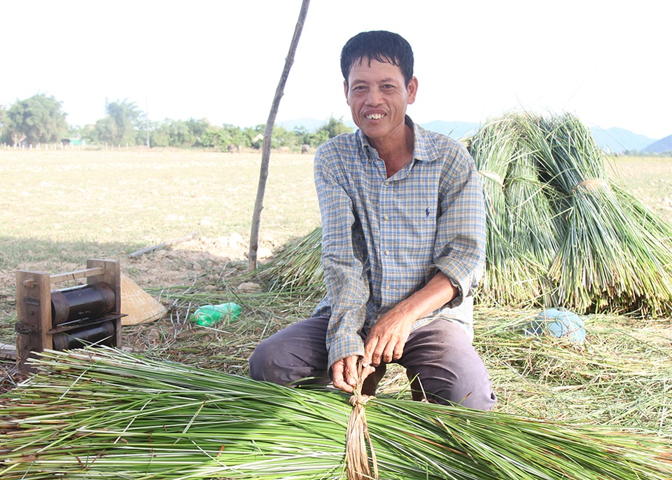 Về ốc đảo Hồng Lam giữa mùa thu hoạch cói - 11 Về ốc đảo Hồng Lam giữa mùa thu hoạch cói - 11